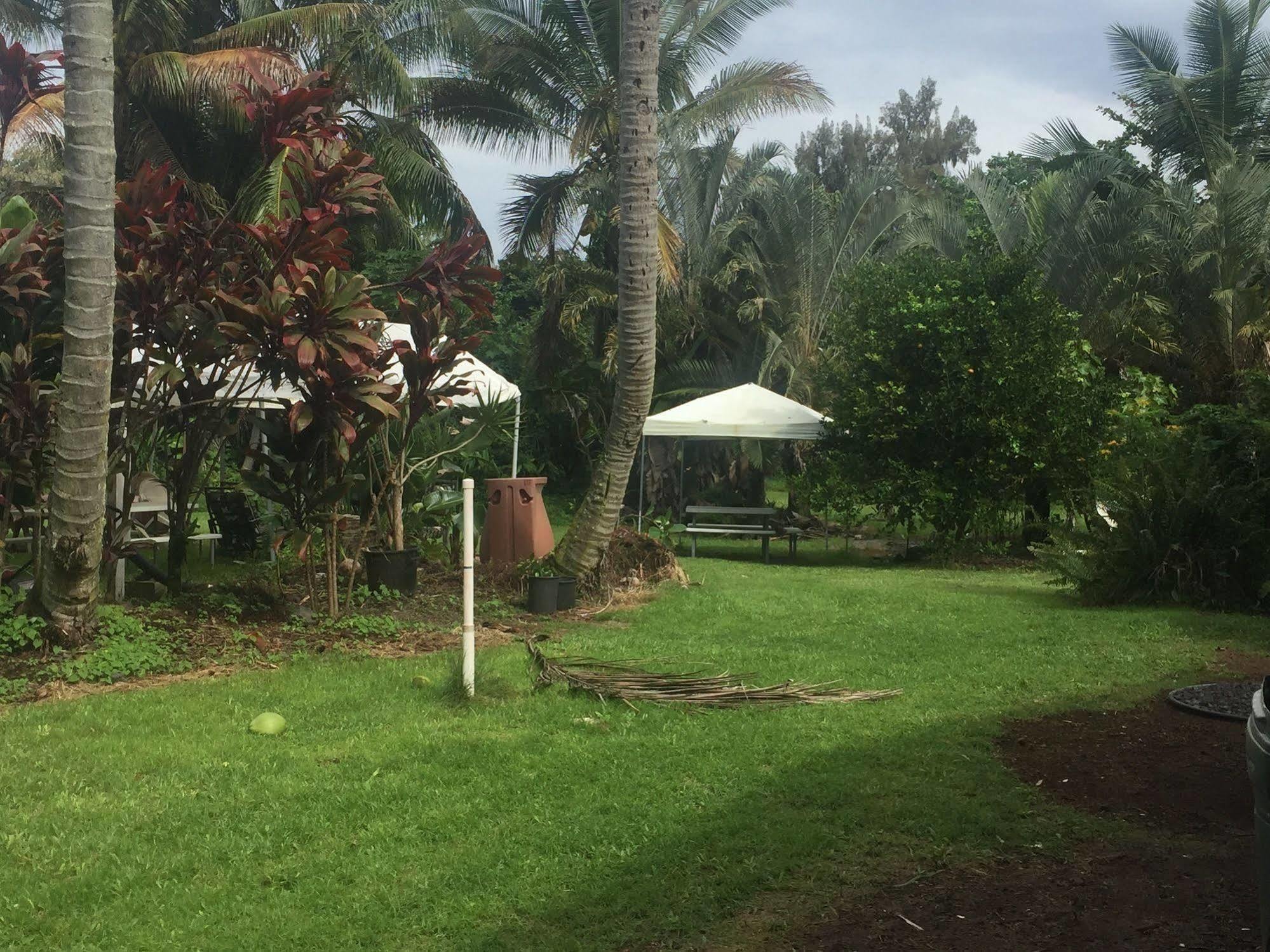 Aaron'S Cottage Hilo Eksteriør billede